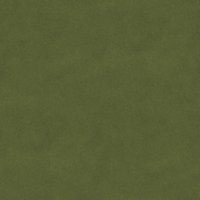 Asset preview